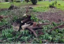 Sorriso desenvolve projeto piloto para reaproveitamento de resíduos ambientais