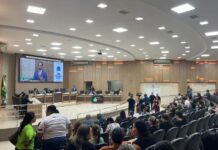 Câmara aprova homenagens para educadores, jornalistas, atletas e defensores da inclusão