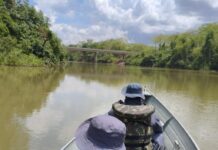 Sema apreende 47 kg de pescado irregular no primeiro mês do defeso da piracema