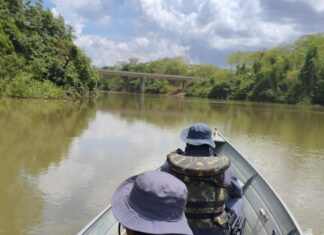 Sema apreende 47 kg de pescado irregular no primeiro mês do defeso da piracema