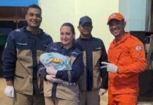 Bebê nasce dentro de viatura dos Bombeiros em Sinop