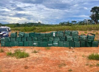 PM registra alta de 82% nas apreensões de drogas em um ano do Tolerância Zero