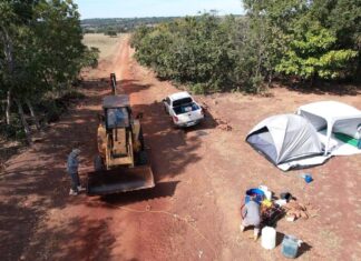 Ministério confirma caso de gripe aviária em Cuiabá
