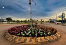 Secretaria de agricultura de Vera inicia plantio de flores híbridas em rotatórias