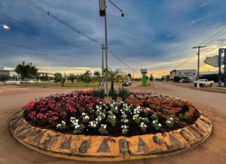 Secretaria de agricultura de Vera inicia plantio de flores híbridas em rotatórias