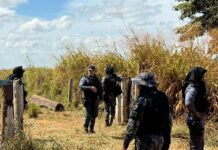 Tolerância Zero frustra 62 tentativas de invasão de terras em Mato Grosso