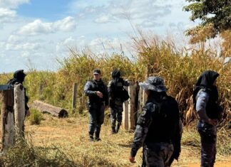 Tolerância Zero frustra 62 tentativas de invasão de terras em Mato Grosso