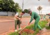 Sinop amplia arborização com plantio de árvores no Alto da Glória