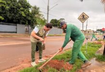 Sinop amplia arborização com plantio de árvores no Alto da Glória