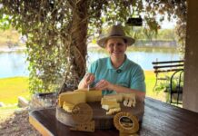 Desenvolve MT tem mais de R$ 2 milhões de crédito liberados para mulheres