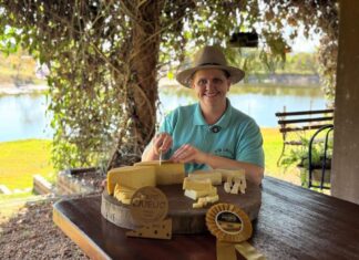 Desenvolve MT tem mais de R$ 2 milhões de crédito liberados para mulheres