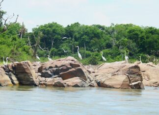 Recanto Beckmann reforça pesca esportiva e turismo de natureza em Sinop