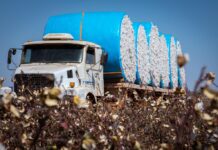 Mato Grosso lidera a balança comercial brasileira em 2025