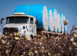 Mato Grosso lidera a balança comercial brasileira em 2025