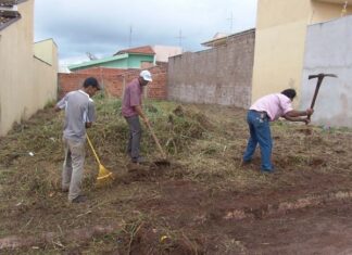 Santa Carmem aplicará multas de até um salário a proprietários de terrenos sujos
