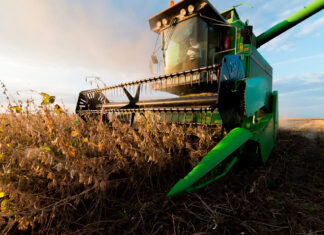 Com MT na dianteira e PR atrasado, colheita de soja do Brasil avança para 2%