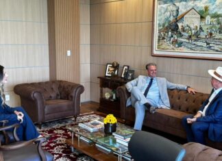 Dorner articula em Brasília maquinários e construção de casas populares