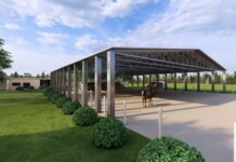 Santa Carmem terá Centro Municipal de Equoterapia