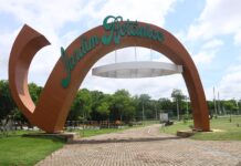 Parque Jardim Botânico reúne esporte, natureza e contemplação em área preservada de Sinop