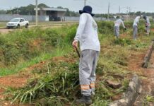 Intensificados os trabalhos de limpeza urbana de Sinop
