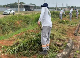Intensificados os trabalhos de limpeza urbana de Sinop