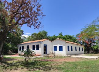 Museu de História Natural de MT reabre ao público nesta terça-feira (20)