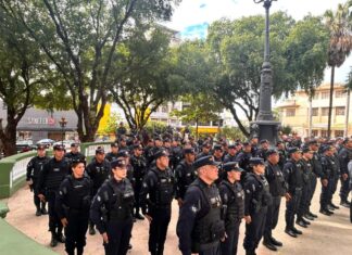 Começa nesta sexta-feira (30) a 23ª edição da Operação Força Total