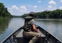 Multas por pesca durante a piracema já somam R$ 250 mil