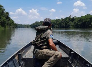 Multas por pesca durante a piracema já somam R$ 250 mil