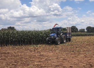 Secretaria de Agricultura de Vera produz silagem para apoio à bacia leiteira