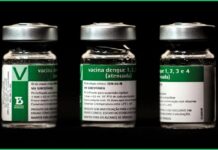 SUS vacina profissionais de saúde contra dengue em fevereiro