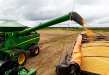 Mato Grosso redefine incentivo fiscal à soja beneficiada com novos critérios às operações