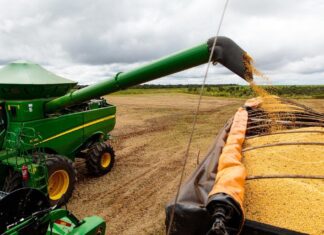 Mato Grosso redefine incentivo fiscal à soja beneficiada com novos critérios às operações