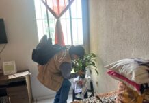 80% dos focos do mosquito da dengue estão dentro das residências em Sinop