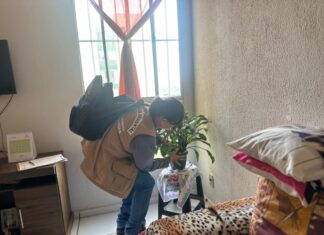 80% dos focos do mosquito da dengue estão dentro das residências em Sinop