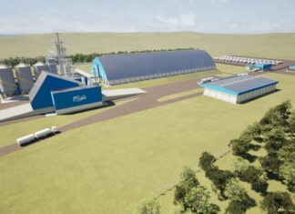 Gigante do agro anuncia construção de megaunidade de armazenamento em Vera