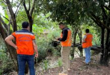 Defesa Civil realiza levantamento e mapeamento de áreas de risco em Colíder
