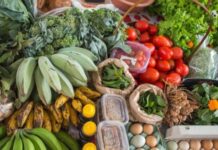 Feira Sabor do Campo retoma atividades nesta segunda (2) em Sorriso