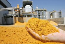 Sinop registra crescimento superior a 52% na exportação de produtos produzidos no município