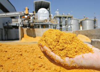 Sinop registra crescimento superior a 52% na exportação de produtos produzidos no município