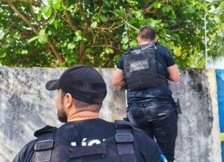 Polícia Civil de MT inicia ano com 56 operações deflagradas em todo estado