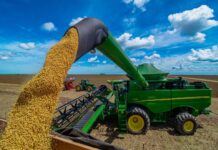 Em ritmo acelerado colheita de soja em Mato Grosso chega a 39,61%
