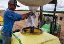 Agropecuária gera mais de 10 mil empregos em Mato Grosso