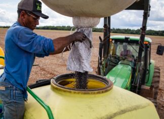 Agropecuária gera mais de 10 mil empregos em Mato Grosso