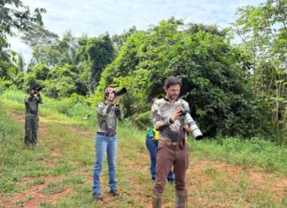 Visita técnica estrutura turismo de observação de aves em Sinop