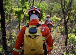 Bombeiros abre vagas para especialização em Gestão de Incêndios Florestais