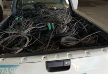 Programa Cidade Limpa na Avenida dos Jacarandás retira mais 92,5 kg de fios