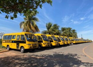 Governo de MT entrega 300 ônibus para transporte escolar nesta quarta-feira (4)