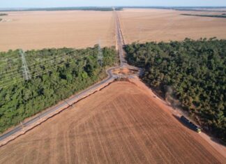 Asfalto na Estrada Rosa encurta caminho entre Vera, BR-163 e Sinop