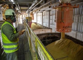 Economia de Mato Grosso cresce 56% e supera China e Brasil juntos em sete anos